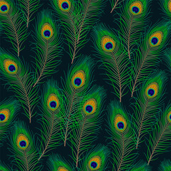 Obraz premium Seamless pattern with peacock feathers on a dark background. Fluffy green feather from peafowl tail. For prints, clothing, t shirt, surface design. Vintage style