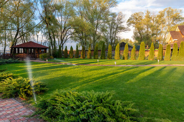 Freshly mowed rows of green lawn at country residence with summerhouse. Fence hedge of fresh thuja cedars. Landscaping design and gardening concept. Plant and yard flora care service