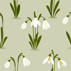Fototapeta na wymiar Seamless pattern Snowdrops flower on spring green background. Print for your design. Vector Illustration.