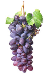 Bunch of grapes isolated on white