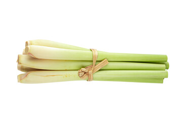 Fresh Lemon grass isolated on a transparent background