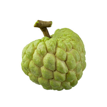 custard apple fruit isolated on a transparent background.