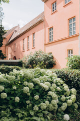 house in a garden