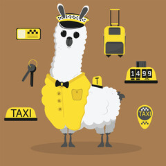 Cute funny lama cartoon alpaca taxi driver mascot. LLama animal hand drawn vector © rymarenko