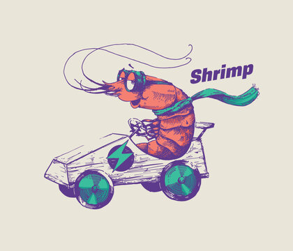 Hipster shrimp is riding an electric go cart vector illustration. Hand drawn racer crab wearing goggles and scarf racing with fast car. Line art design for posters and cool stickers.