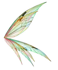 Transparent Fairy Wing Overlays By ATP Textures
