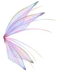 Transparent Fairy Wing Overlays By ATP Textures