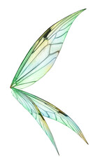 Transparent Fairy Wing Overlays By ATP Textures