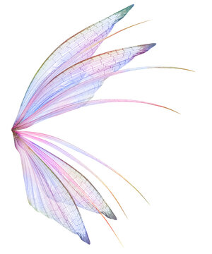 Transparent Fairy Wing Overlays By ATP Textures