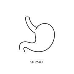 Outline style health care ui icons collection. Vector black linear illustration. Stomach anatomy symbol isolated on white background. Design element for healthcare, digestion system infographic