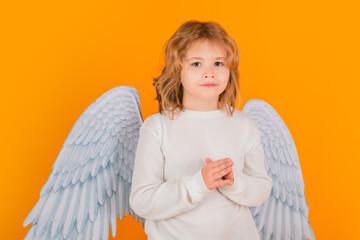 Valentines day. Kid with angel wings. Studio portrait of angel child on studio color isolated...