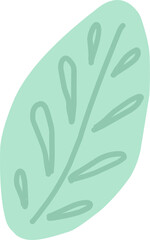 a simple leaf drawn from. plant leaf isolated
