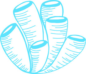 simple drawn algae. isolated seaweed coral