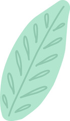 a simple leaf drawn from. plant leaf isolated