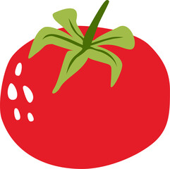 Hand drawn ripe tomato on a transparent background.