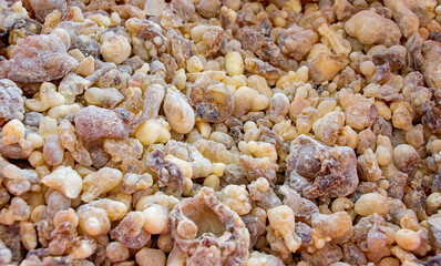 frankincense  High quality frankincense resin from Oman 