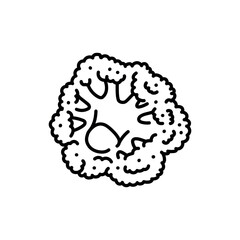 Broccoli color line icon. Healthy food. Vegetarian product