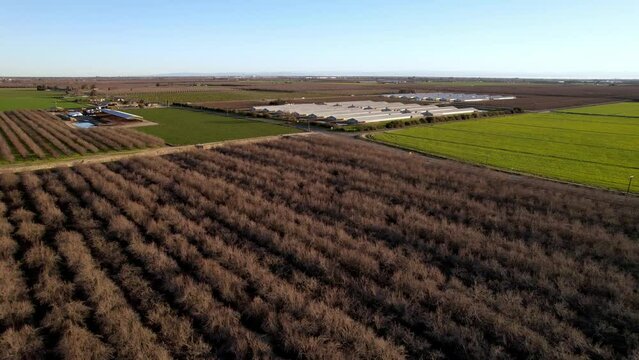 aerial push over almond grove near modesto california