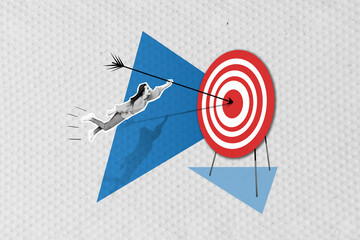 Photo collage artwork minimal picture of purposeful lady flying arrow getting target isolated...