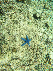 Nusa Penida, Indonesia