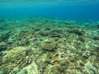 Obraz premium Nusa Penida, Indonesia