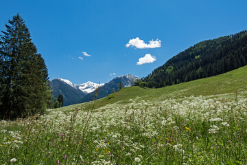 Malerische Landschaft in den Alpen der Wanderregion Passeiertal in Südtirol , Italien