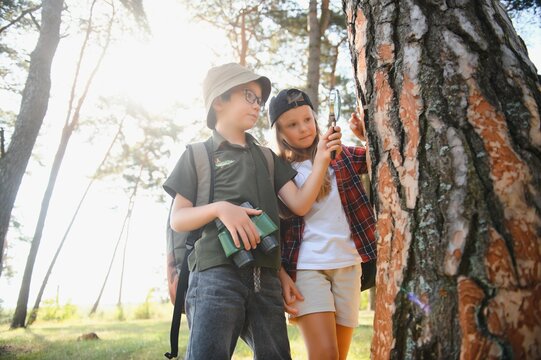 Kids Scouts In The Forest.