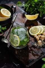Preparation of lemonade with mint and lemon. Ice cocktail