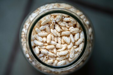 dried fruit, dates, prunes, grains, wheat, lentils, rice stored in glass jars in a kitchen