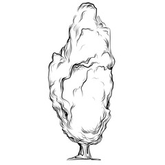 Tropical tree with leaves, black silhouettes isolated on white background. Vector