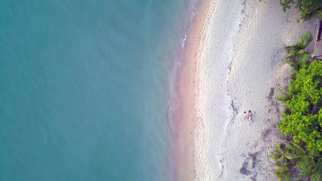 trees, hut coastline waves paradise beach front. Calm aerial view flight drone