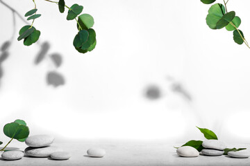 White background with green plants and natural stones