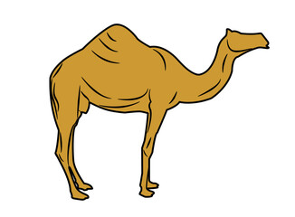 Camel icon symbol brown design vector illustration