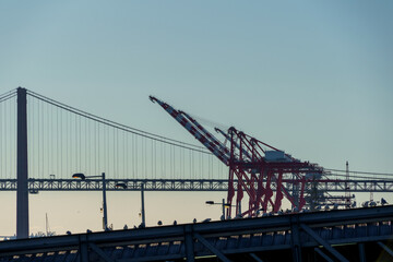 Fototapeta na wymiar gantries and cranes lining the harbour warf awaiting cargo