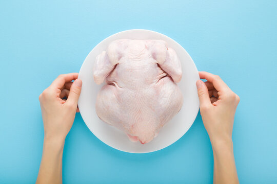 Young adult woman hands holding white plate with fresh raw hen meat on light blue table background. Pastel color. Closeup. Point of view shot. Top down view.