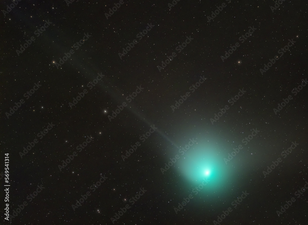 Wall mural green comet or also c2022 e3 ztf, taken with my telescope.