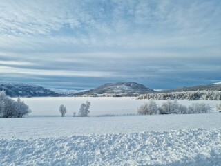 Fototapeta na wymiar winter landscape with snow and mountain