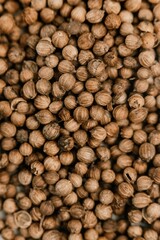 Coriander seeds close up texture background