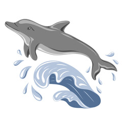 Fototapeta premium Dolphin jumping in water. Marine dweller. Concept of sea and ocean life. Vector illustration