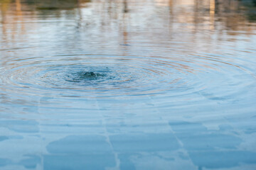 Burbujeo y ondas de agua en un estanque de un parque