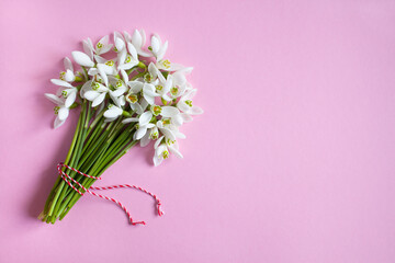 A bouquet of spring snowdrop flowers on a pink background, copy space for the greeting holiday of...