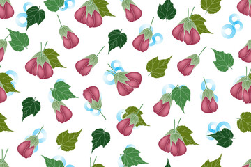 Illustration of Abutilon pictum flower with leaves on blue circle background.