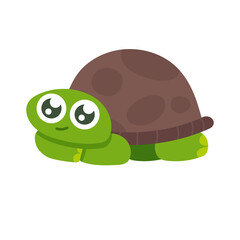 Cartoon turtle. Cute turtles, tortoise lizard illustration set. Funny turtles. shell turtle stickers collection on white background