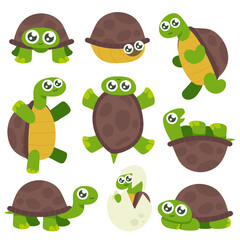 Cartoon turtle. Cute turtles, tortoise lizard illustration set. Funny turtles. shell turtle stickers collection on white background