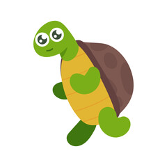 Cartoon turtle. Cute turtles, tortoise lizard illustration set. Funny turtles. shell turtle stickers collection on white background