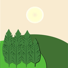 Green nature. Sunset scene. 