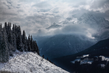 snow covered mountains