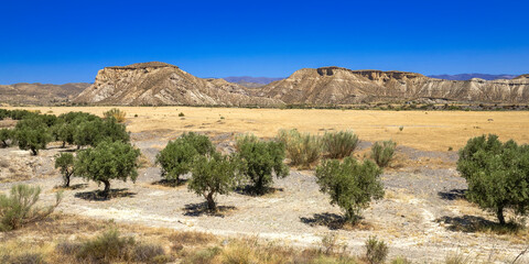 Tabernas Desert Nature Reserve, Special Protection Area, Hot Desert Climate Region, Tabernas,...