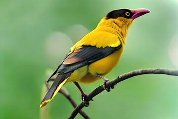 Yellow Common mynah bird sitting on a tree branch with bokeh background in digital illustration