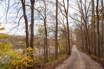 red and yellow flowers,  beautiful autumn view in the park